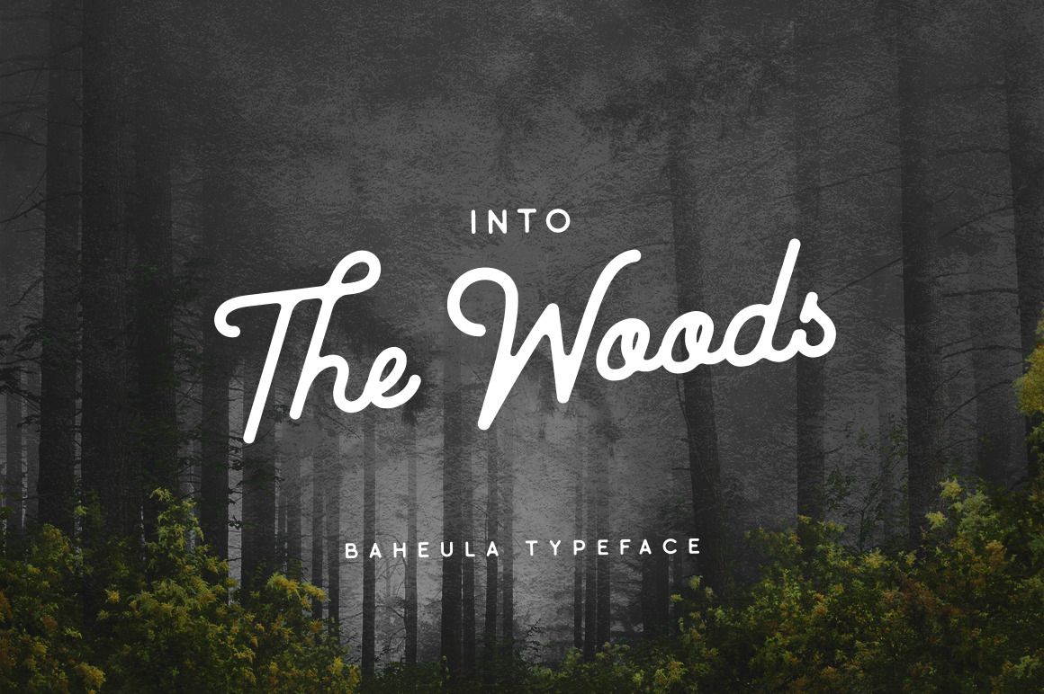 Baheula Vintage + Clean Typeface, a Script Font by Wandery Supply