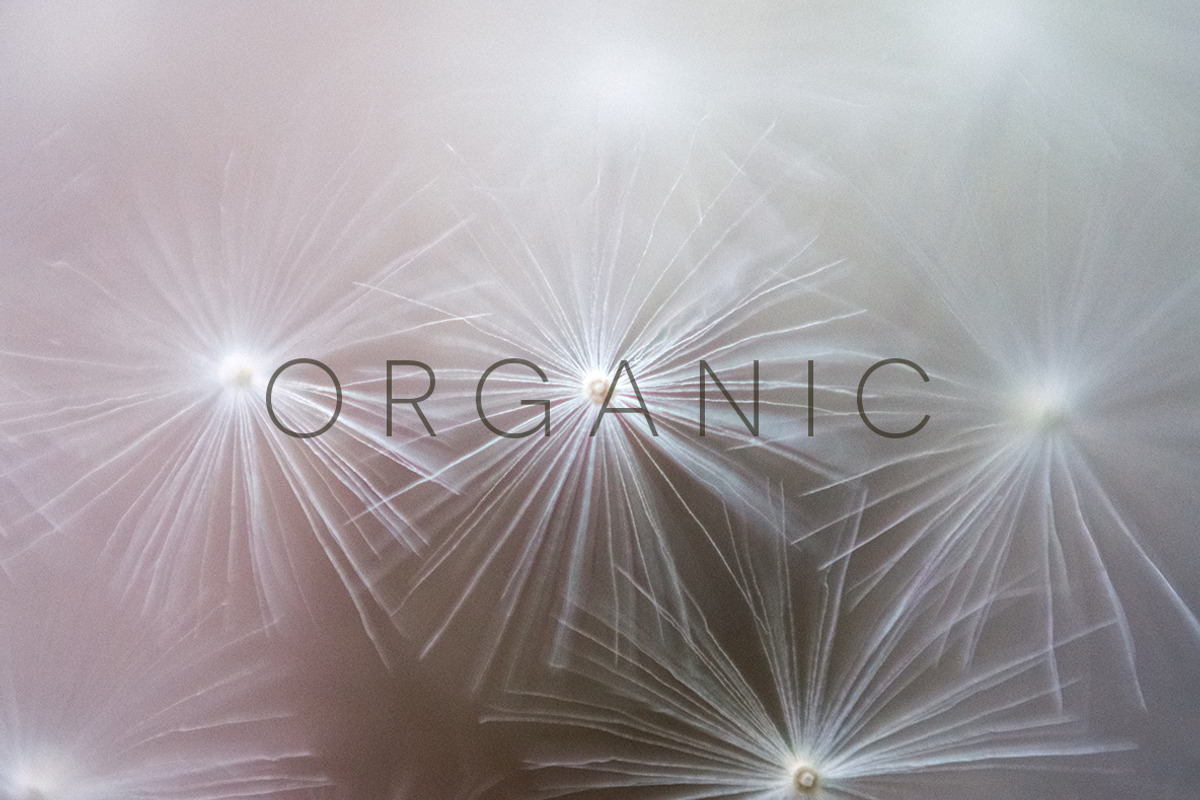 Organic | 20 Botanical Photos, a Nature Photo by Melanie Helena (Photo 12 of 20)