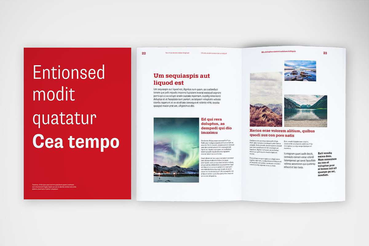 Vibrant Corporate Brochure, a Brochure Template by McLittle Stock (Photo 5 of 5)