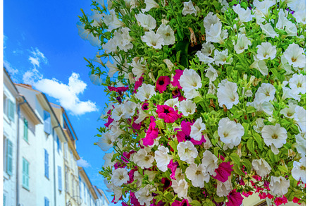 France, French Riviera and Cote D, an Architecture Photo by Web Engine Design