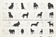 Hand Drawn Dog Breeds Vector 1, an Animal Illustration by Seaquint (Thumbnail 2 of 3)