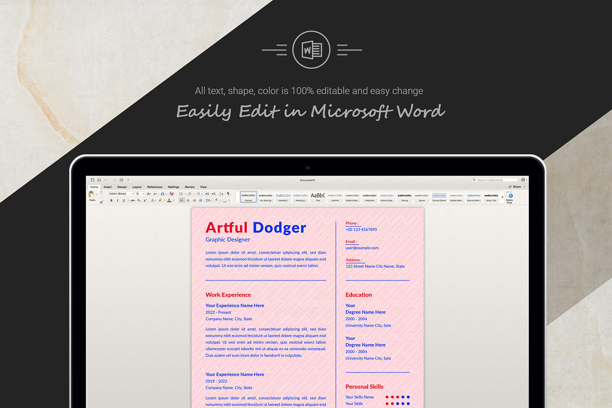 Professional Resume Template Layout preview 4