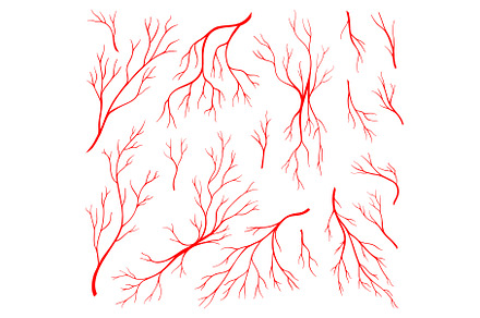 Red veins, anatomy blood artery, a Healthcare Illustration by Vector Tradition