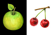 Watercolor set fruits and berries, a Food Illustration by Color_Brush (Thumbnail 7 of 12)