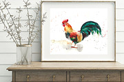 SALE! Watercolor rooster, an Animal Illustration by MaryAmi (Thumbnail 2 of 3)