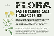 Briar - Fluid Variable Typeface, a Sans Serif Font by Barrett Reid-Maroney (Thumbnail 5 of 10)