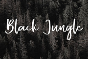 Alentine Typeface 2 Font, a Script Font by Blankids Studio (Thumbnail 4 of 9)