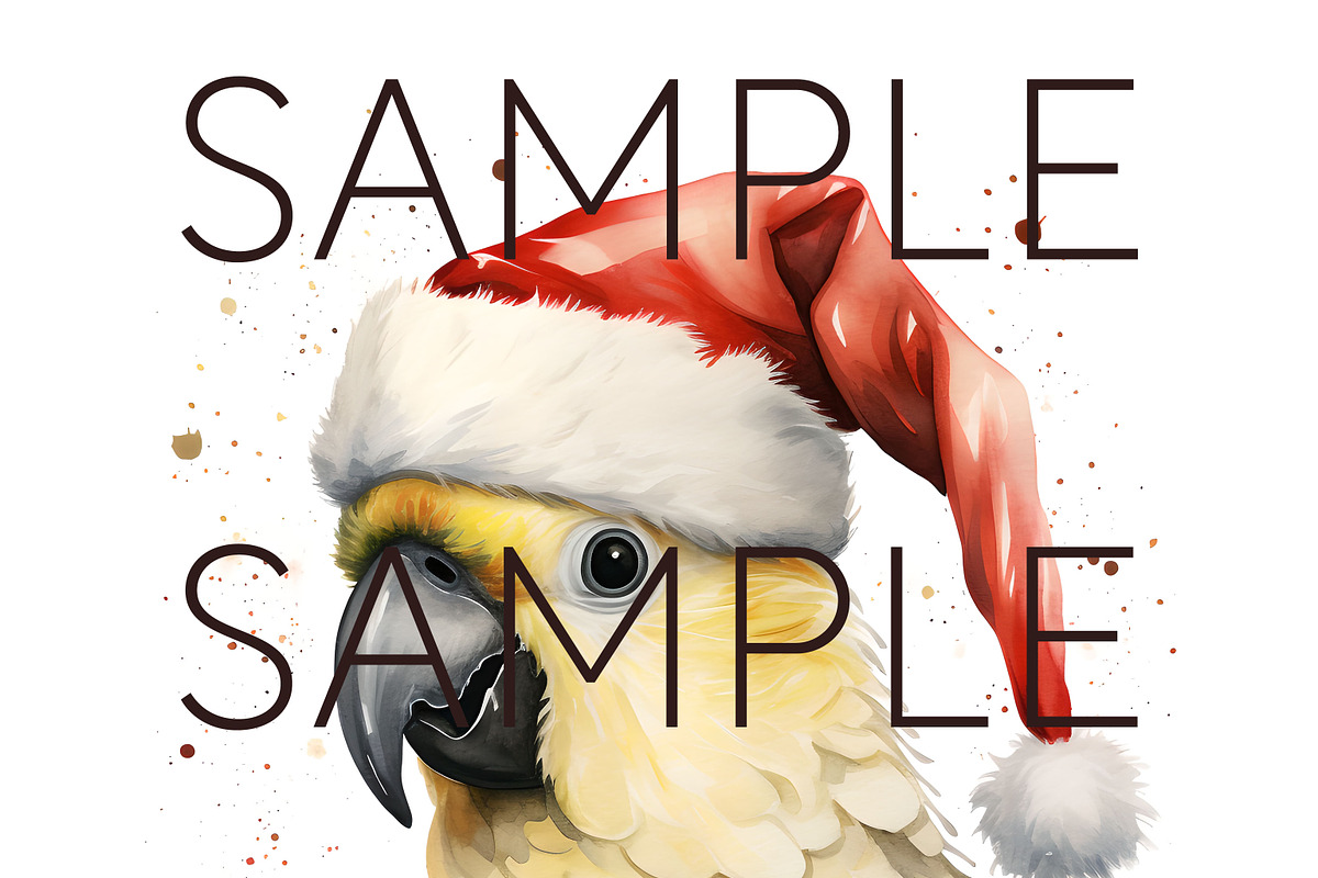 Christmas Australian Native Birds, a Seasonal Illustration by Pawcasso's Portraits (Photo 7 of 9)