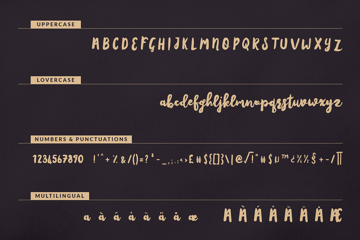Amsterdam Script preview 7