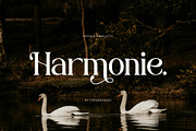 Royale Marilotte | Elegant Serif, a Serif Font by Typoraith Co (Thumbnail 2 of 10)