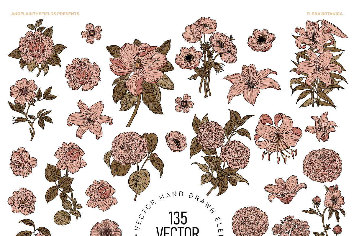 FLORA BOTANICA Vector Illustrations, an Object Graphic by angelainthefields (Photo 3 of 13)