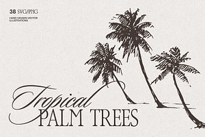 Tropical Palm Tree Silhouettes