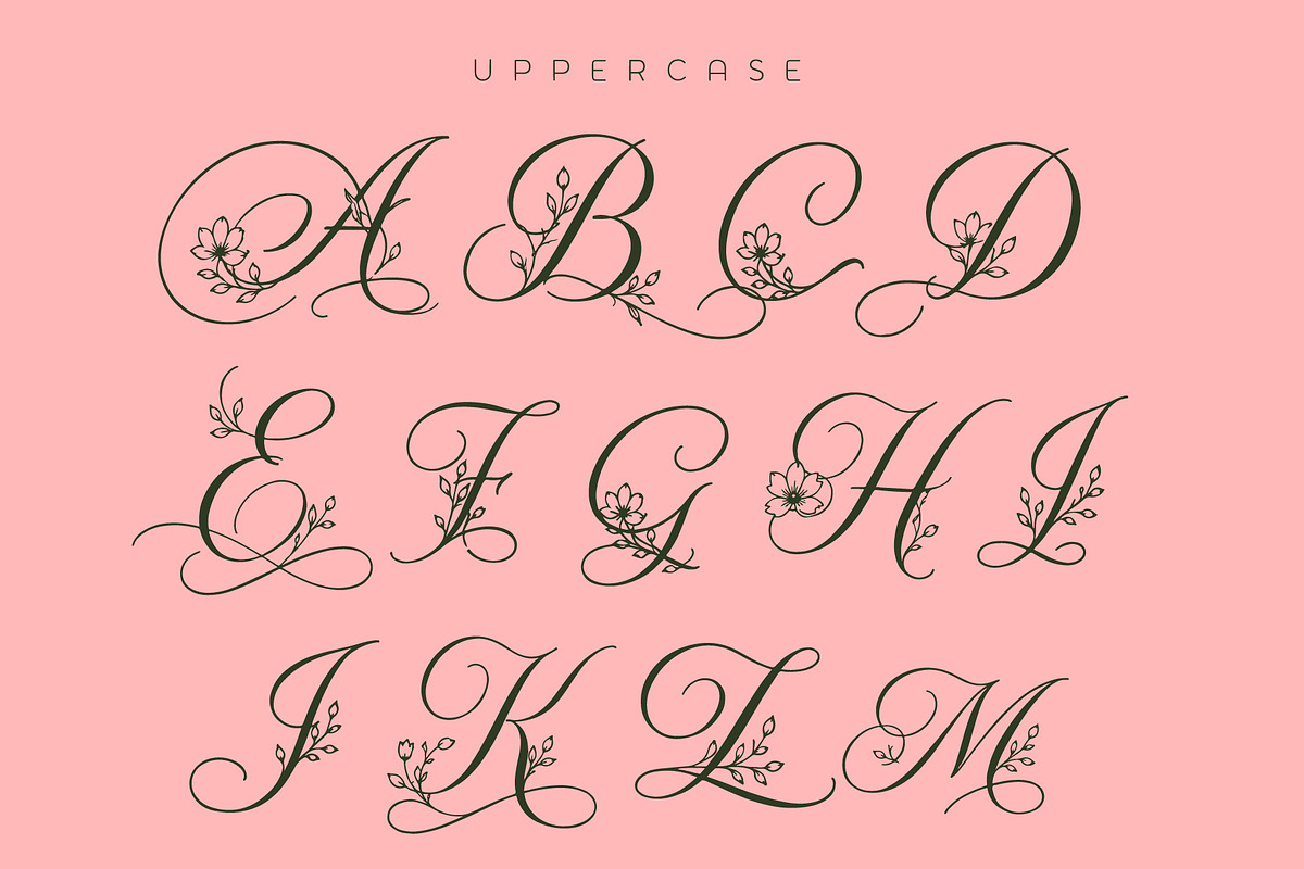 Alverose - Secret Garden Script, a Script Font by HypeWorksCo (Photo 14 of 17)