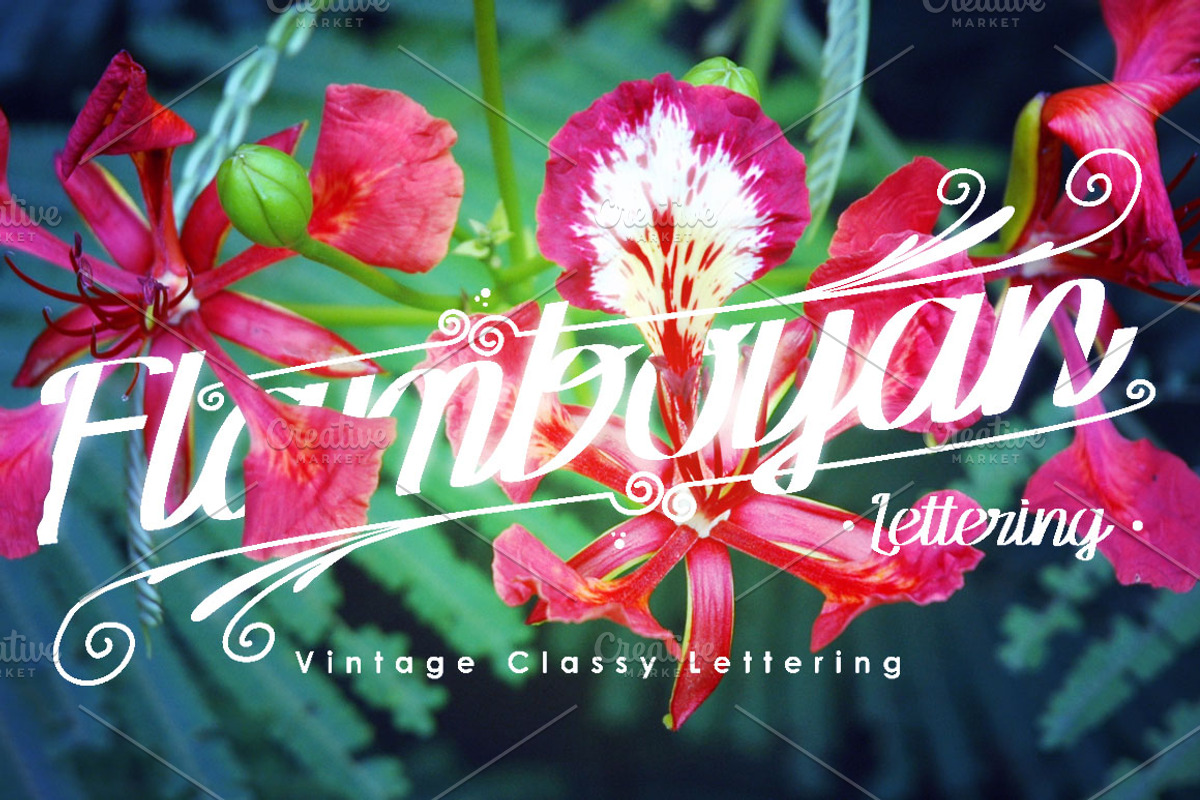 Flamboyan Lettering