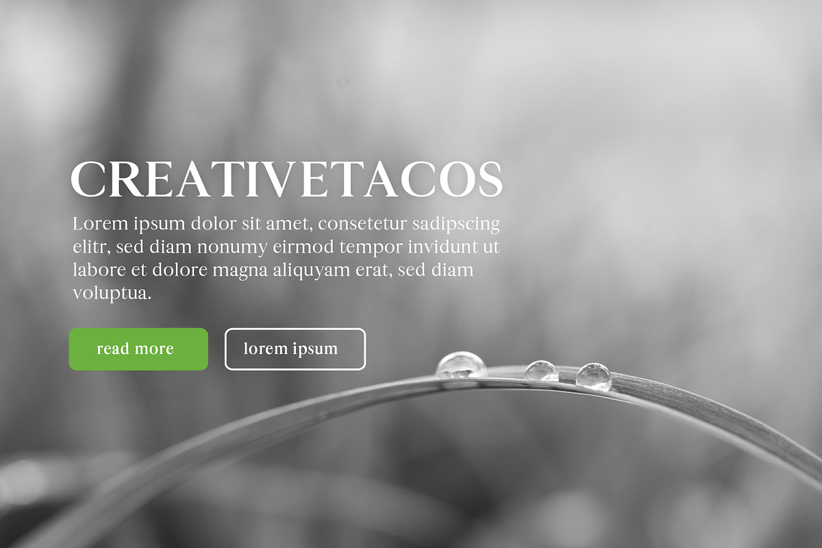Maiah Serif Font Family Pack, a Serif Font by Creativetacos (Photo 7 of 8)