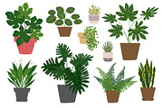 Tropical plants vector., an Illustration by irina.vaneeva (Thumbnail 2 of 15)