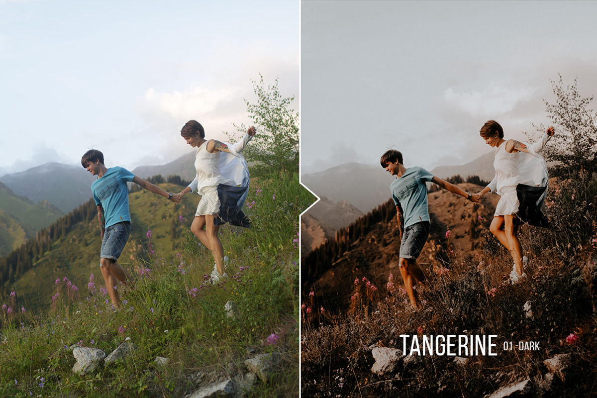 Tangerine Presets - Lightroom & ACR, an Action Add-On by Presetrain Co. (Photo 8 of 12)