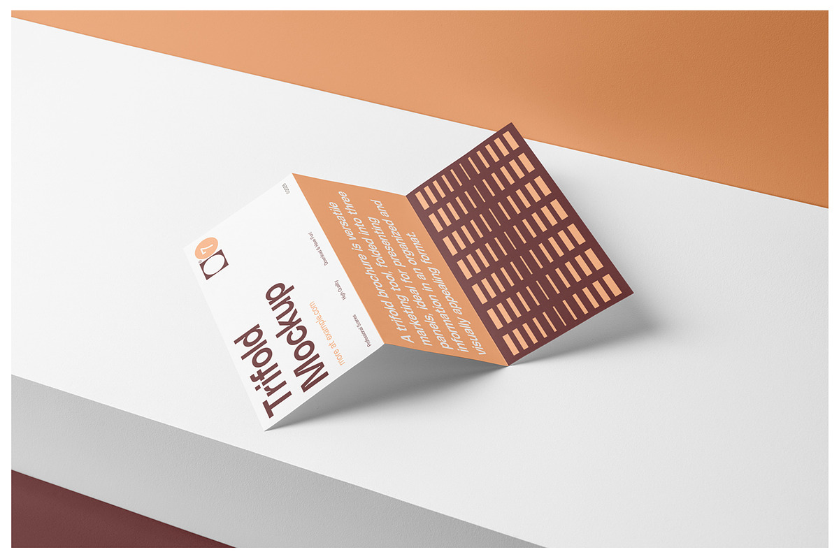 Flayer Trifold and Brochure Mockups, a Mockup by Mr.Mockup™ (Photo 7 of 18)