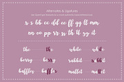 Wonderland, modern calligraphy font, a Script Font by Rachel White Art (Thumbnail 5 of 11)
