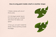 Procreate Tropical Summer Brush Set, a Brush Add-On by Littlefield Design (Thumbnail 6 of 16)