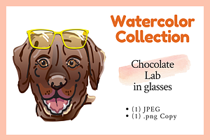 Chocolate Lab In Glasses Graphic
