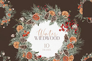 Watercolor Clipart - Winter Wildwood, a Decorative Illustration by Beigetime (Thumbnail 14 of 16)