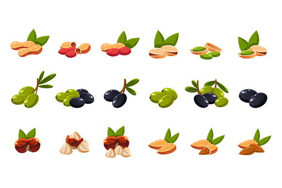 Olives And Nuts Vector Illustration