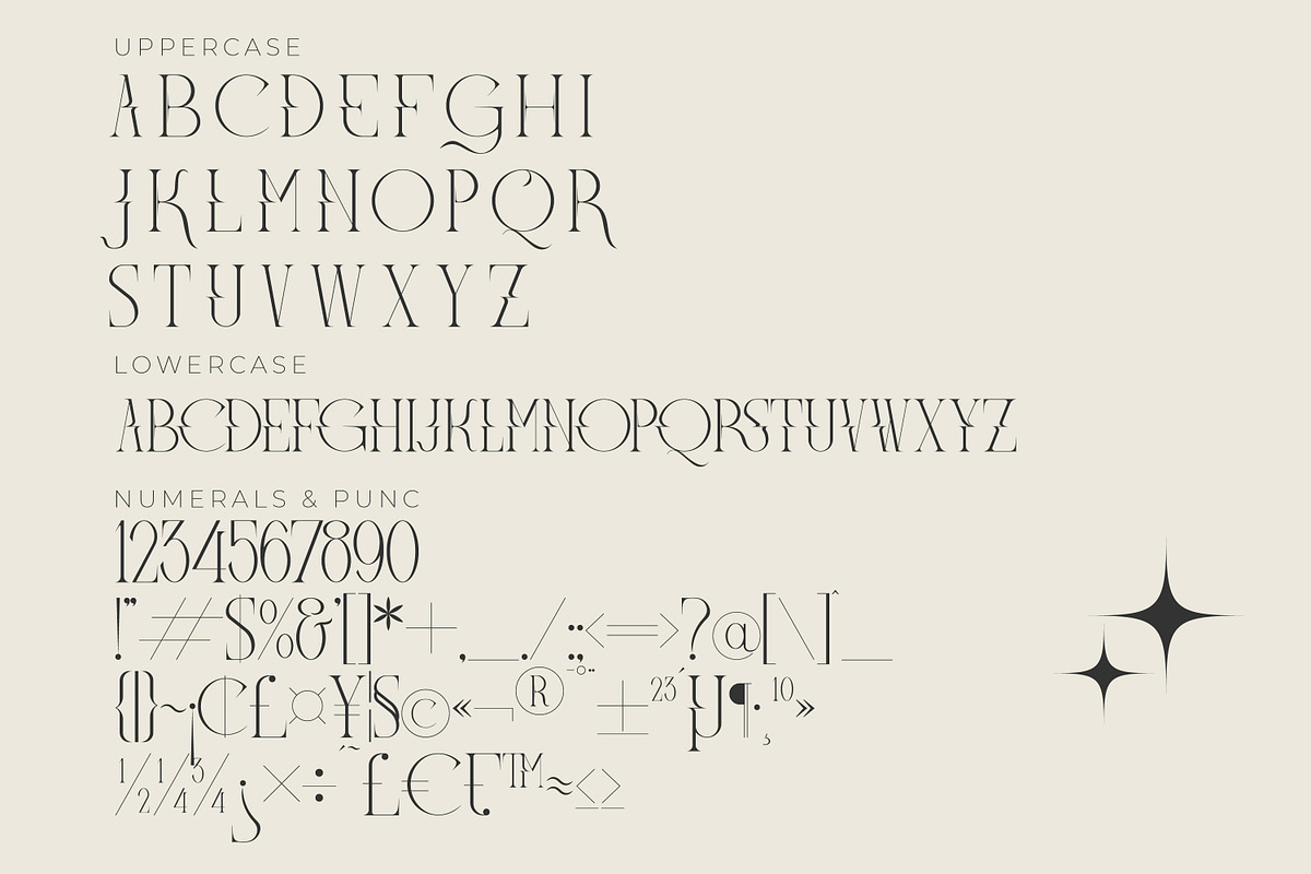 Meglona Modern and Stylish Serif, a Serif Font by Storytype Studio (Photo 10 of 12)