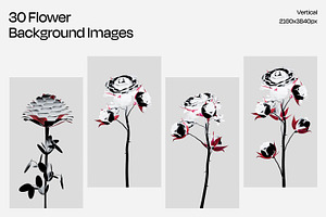 30 Flowers Backgrounds