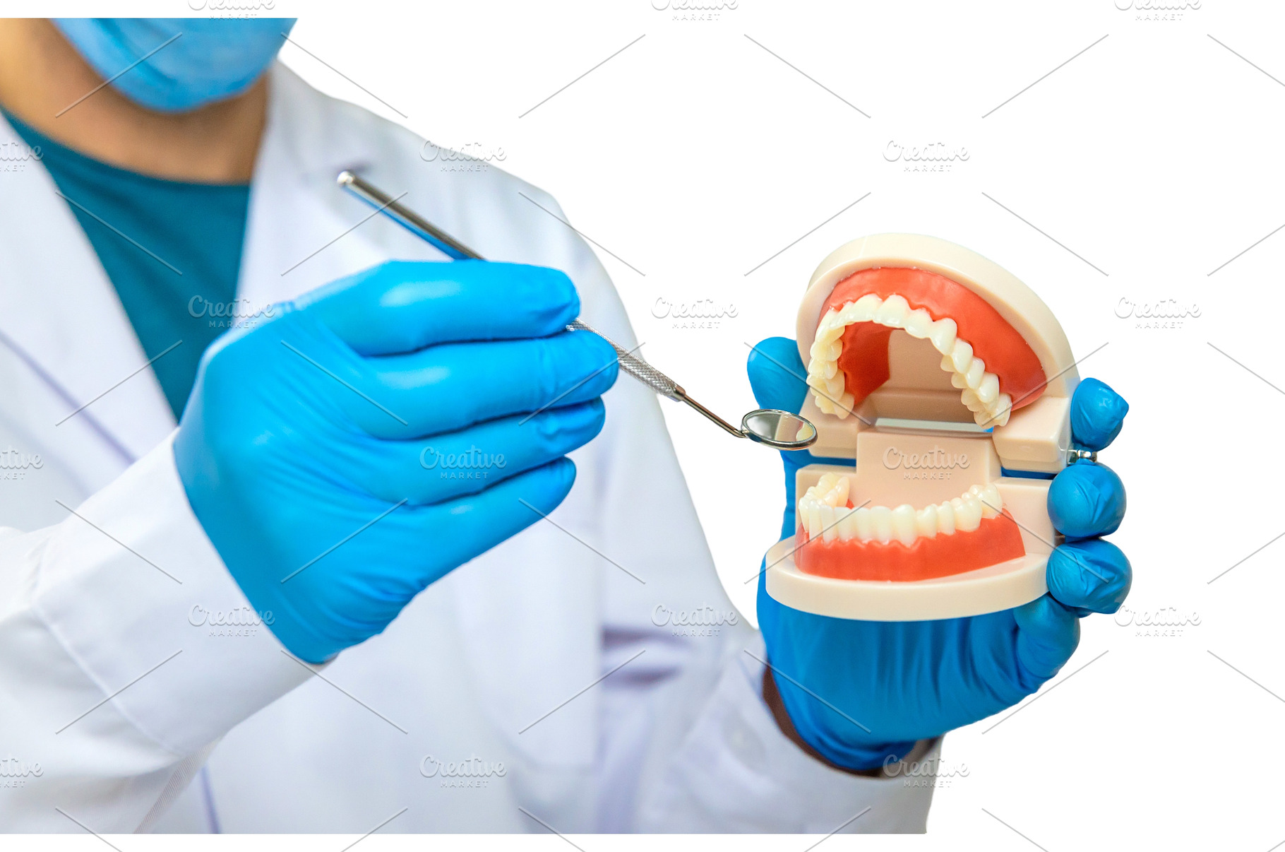 A dentist shows a model of a jaw, a Health & Medical Photo by yanadjana