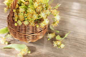 Linden flowers in wicker basket for herbal tea, a Nature Photo by Olena Rudo