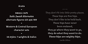 Acuta, a Serif Font by Anatoletype (Thumbnail 5 of 5)