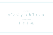 Angelic - Modern Stylish, a Serif Font by RockboyStd (Thumbnail 11 of 12)