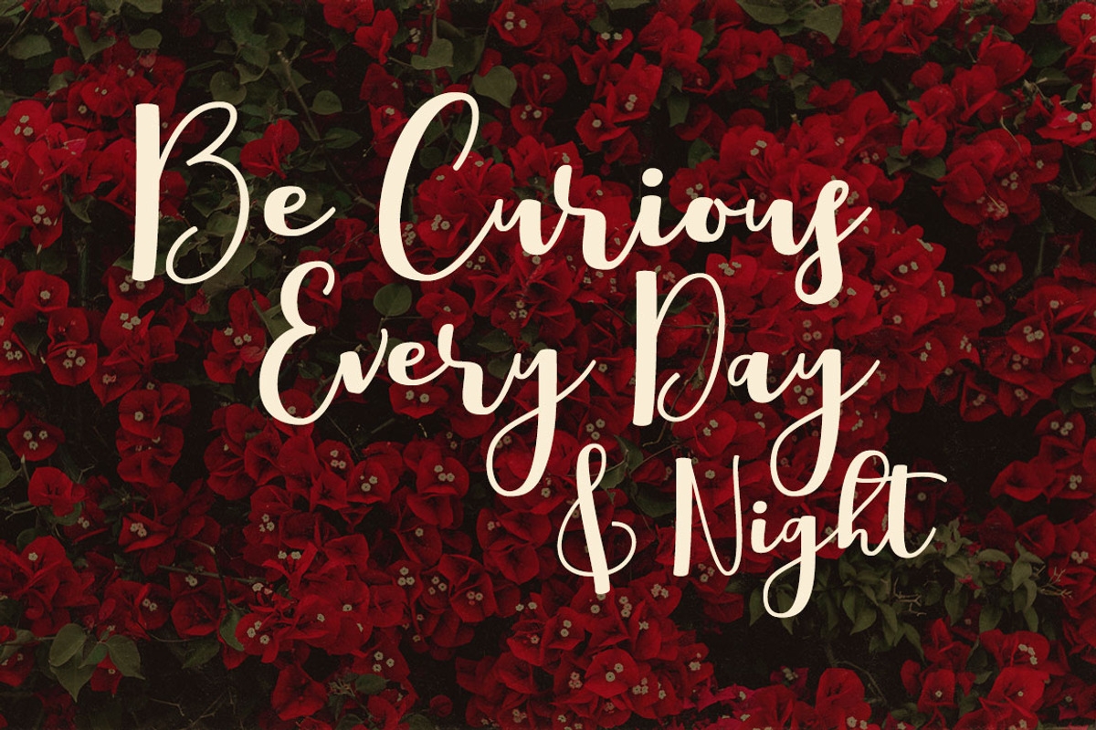 Boulevard Script Font preview 5