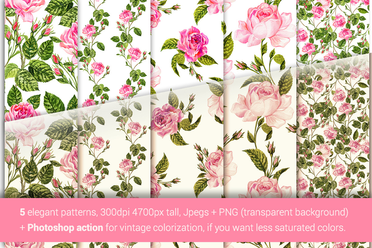 Vintage Rose Set, an Illustration by RosaPompelmo (Photo 3 of 4)