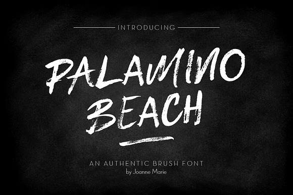 Palamino Beach Brush Font