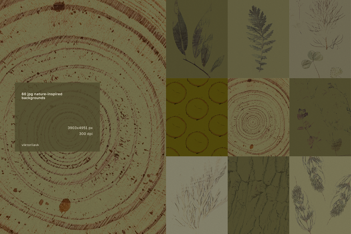 Forest floor nature backgrounds, a Background Graphic by viktoriiavk (Photo 7 of 8)