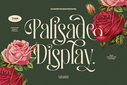 Modern Font Collection, a Serif Font by Sans & Sons (Thumbnail 2 of 21)