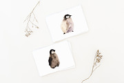 Cute penguins chicks watercolor set., an Animal Illustration by Bychovsky design (Thumbnail 5 of 9)