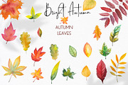 Autumn BUNDLE 8 in 1. Watercolor, an Object Graphic by Ana-Sakuta (Thumbnail 18 of 20)