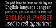 Neubau Pro, a Sans Serif Font by TipografiaRamis (Thumbnail 3 of 11)