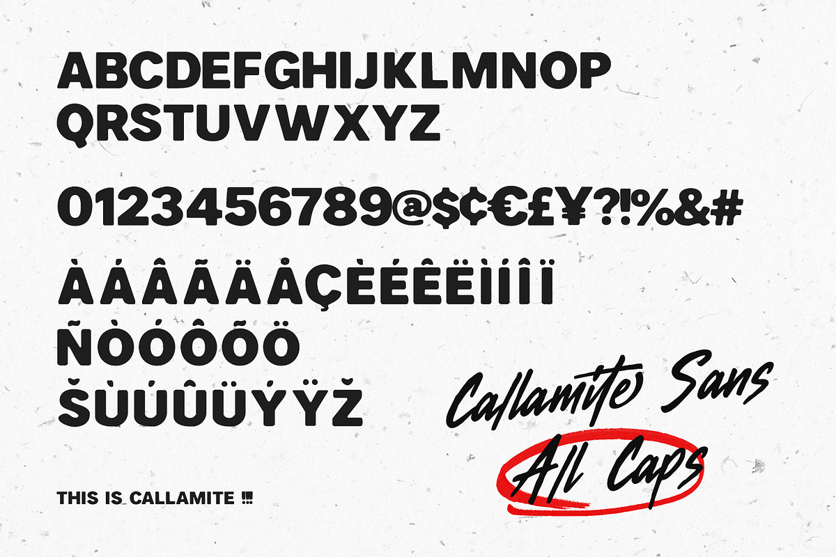 Callamite Combo Dynamic Duo Typeface, a Sans Serif Font by Maulana Creative (Photo 8 of 8)