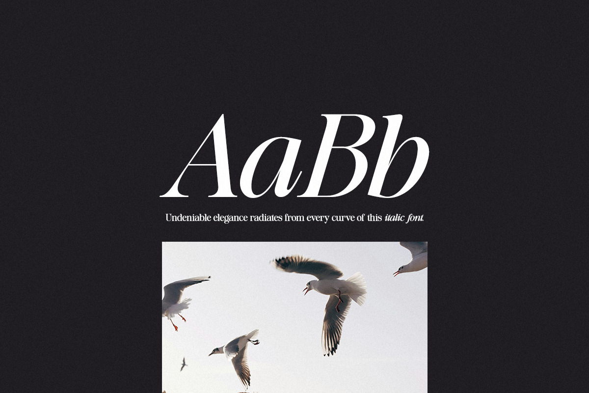 Baliths Serif, a Serif Font by Pista Mova (Photo 13 of 23)