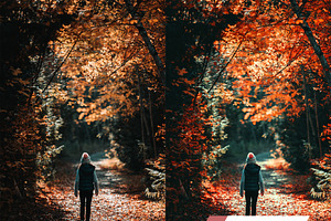 Autumn Vibes Photoshop Actions