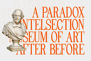 Pheromone | Modern Classic Serif, a Serif Font by Lettertype Studio (Thumbnail 4 of 20)