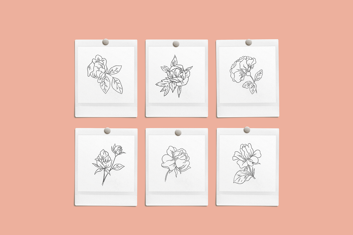 Rose Garden Vector Illustrations, an Illustration by Emma Webb Studio (Photo 2 of 8)