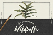 Wildbelle Font, a Script Font by Design Surplus (Thumbnail 2 of 4)