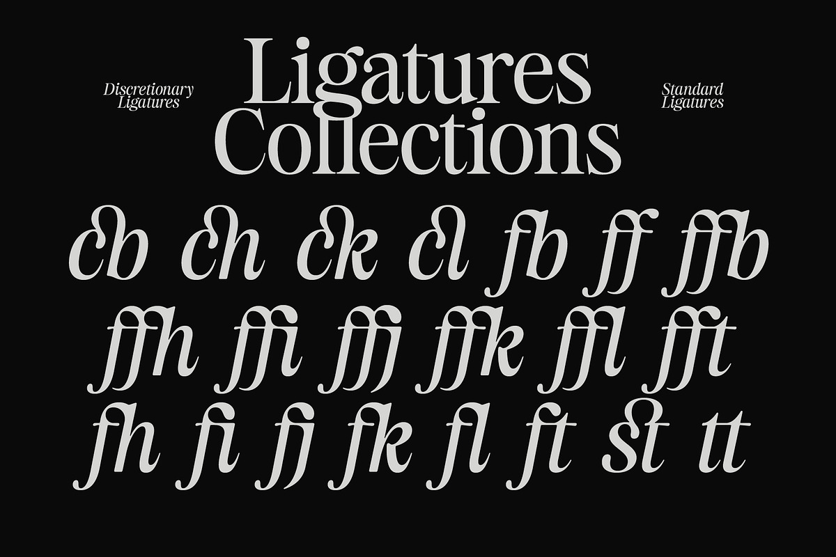 Estetika Maison - Editorial Serif, a Serif Font by The Native Saint Club (Photo 12 of 16)