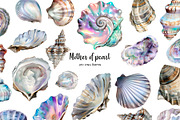 Watercolor pearl shell clipart 28PNG, an Object Illustration by Art and Funny (Thumbnail 1 of 3)