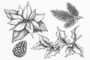 Hand Drawn Christmas Plants., a Decorative Illustration by Epine (Thumbnail 2 of 3)